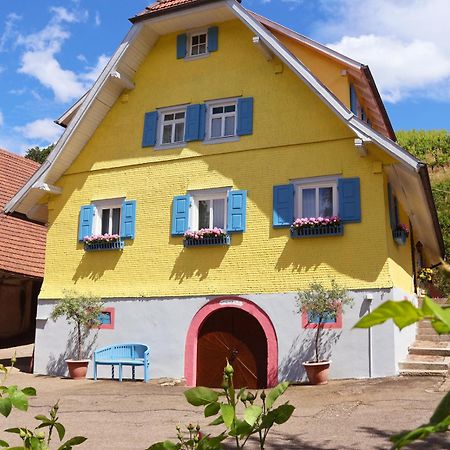 Apartamento Winzerhof Maennle Oberkirch  Exterior foto
