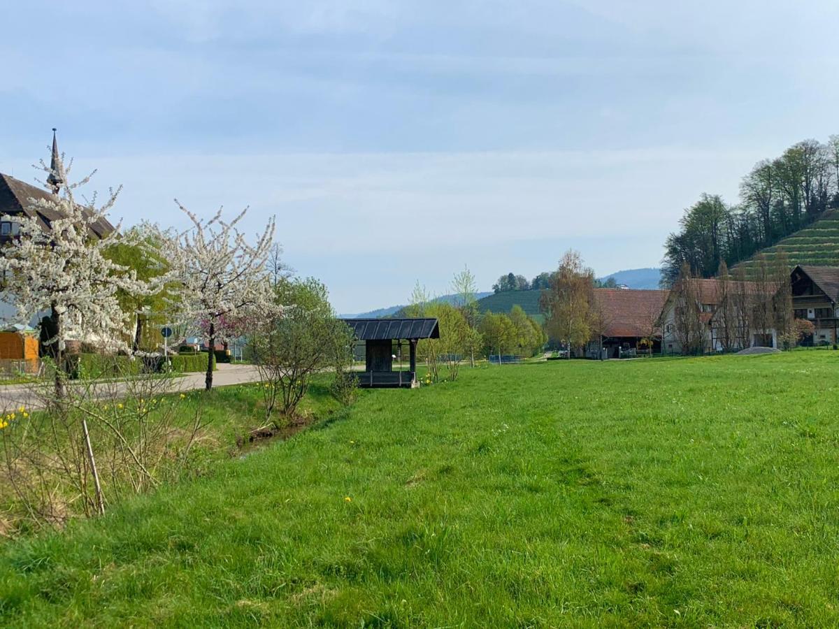 Apartamento Winzerhof Maennle Oberkirch  Exterior foto