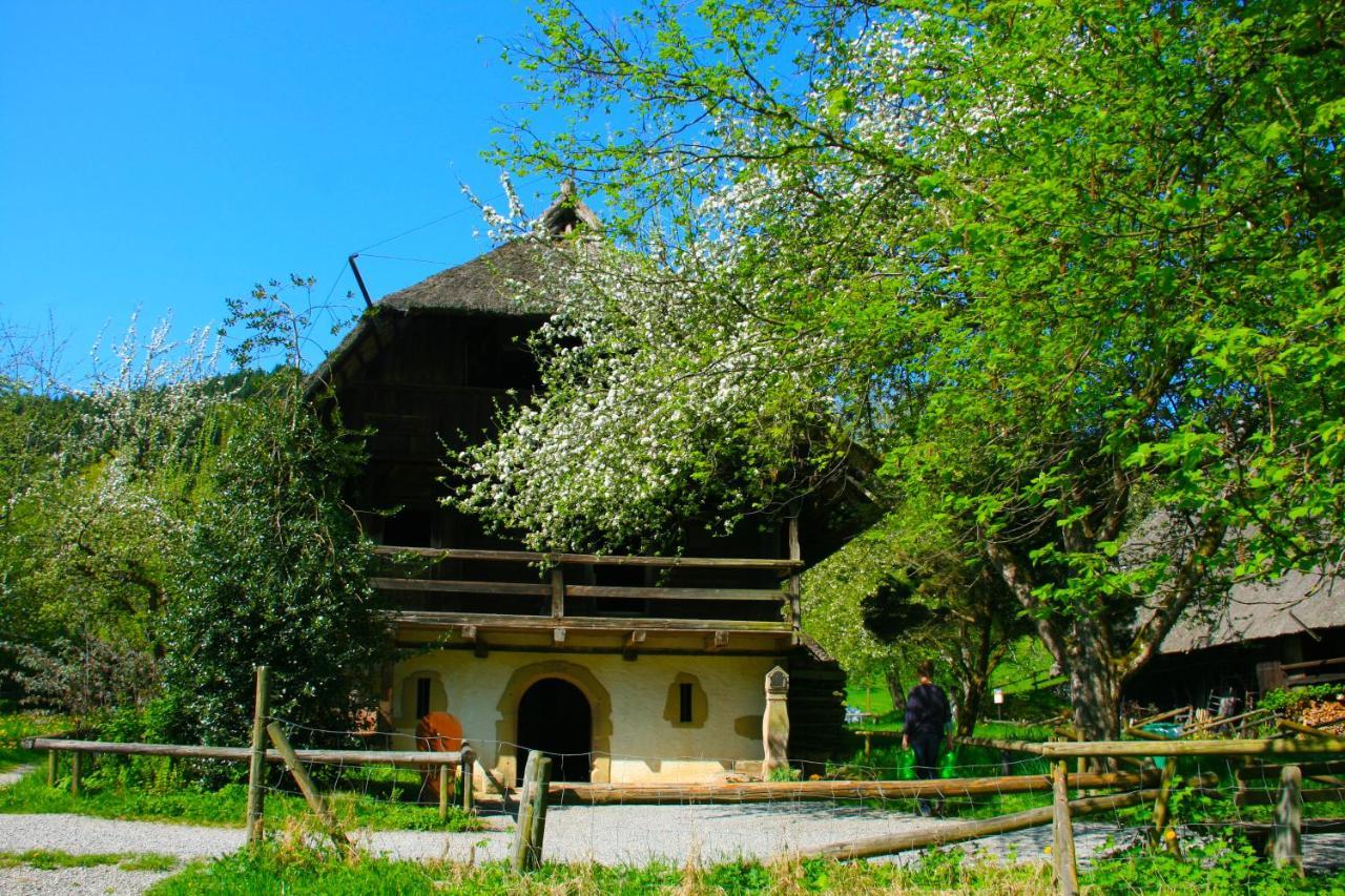 Apartamento Winzerhof Maennle Oberkirch  Exterior foto