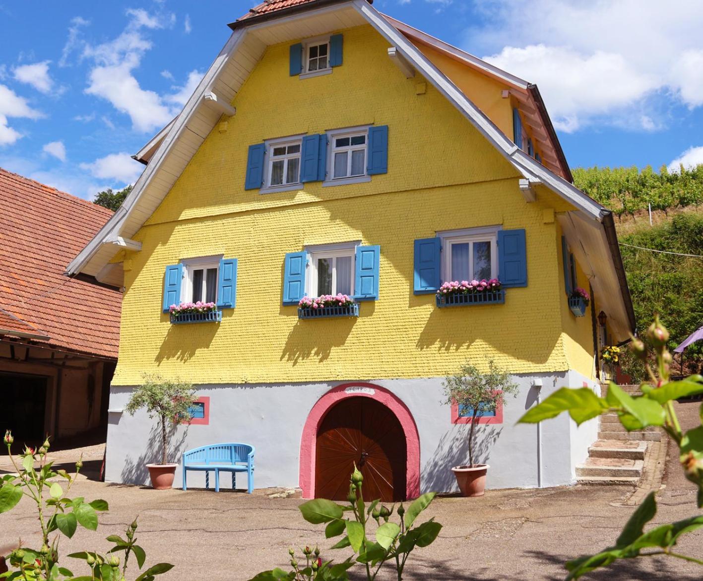 Apartamento Winzerhof Maennle Oberkirch  Exterior foto